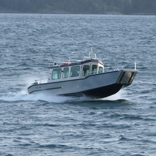 Профессиональный катер десантный катер - C800 WT  - MS Boat - c подвесным мотором / из алюминия