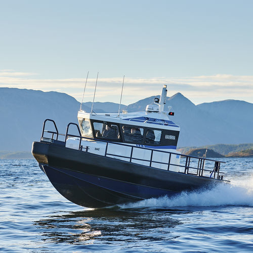 Профессиональный катер катер береговой охраны - FF33 MK2 SEAWORK SHUTTLE - HUKKELBERG BOATS - спасательное судно / рабочее судно / пассажирское судно