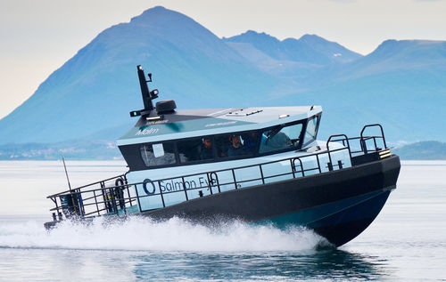 Профессиональный катер рабочее судно - FLYING FISH 37  - HUKKELBERG BOATS - пассажирское судно / коммерческое судно / судно для транспортировки персонала