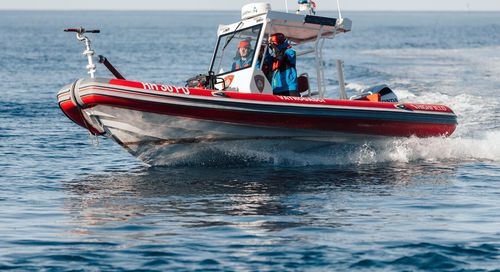 Профессиональный катер катер береговой охраны - PA 760 - HIGHFIELD BOATS - рабочее судно / c подвесным мотором / из алюминия