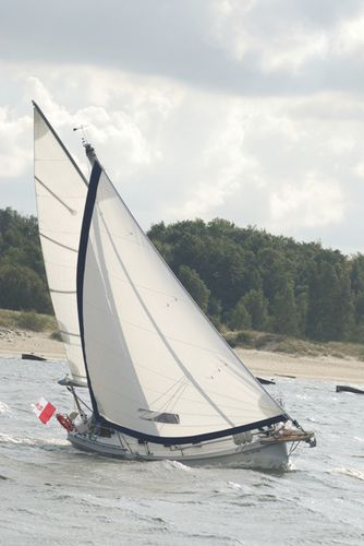 Круизный парусник - 800 - HABER YACHTS Sp. z o.o.  - 5 спальных мест / с закрытым кокпитом / бушприт
