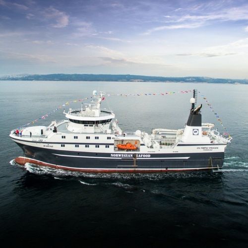 Профессиональное рыболовное судно траулер - OLYMPIC PRAWN - Cemre Shipyard