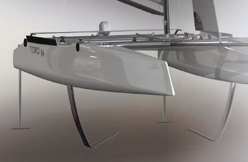 Катамаран - TORO 34R - Design Catamaran Inc - гоночный / 4 спальных места / из карбона