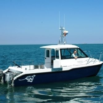 Моторная лодка с каютой катамаран - Boblin 2 - Cheetah Marine - c подвесным мотором / двухмоторная / с рулевой рубкой