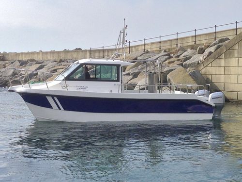 Судно для гидрографических исследований профессиональный катер - Cheetah Marine - катамаран / c подвесным мотором / из алюминия