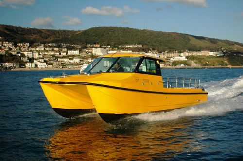Рыболовно-прогулочный катер катамаран - Spindrift Three - Cheetah Marine - c подвесным мотором / двухмоторный / хардтоп