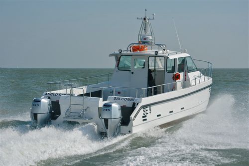 Рыболовно-прогулочный катер катамаран - Anglo Dawn - Cheetah Marine - c подвесным мотором / двухмоторный / с закрытым кокпитом