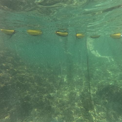 Заграждение сетка - ZEUS Jellyfish - V2O Marine - против медуз / плавучее / модульное