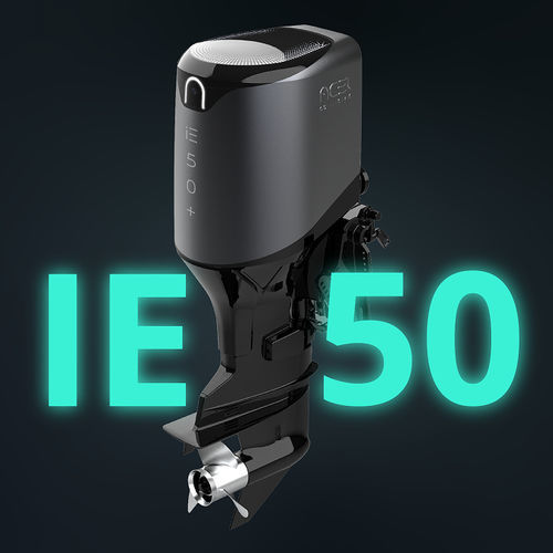 Подвесной двигатель - IE 50 - ACEL Power - электрический / прогулочный / с охлаждением водой