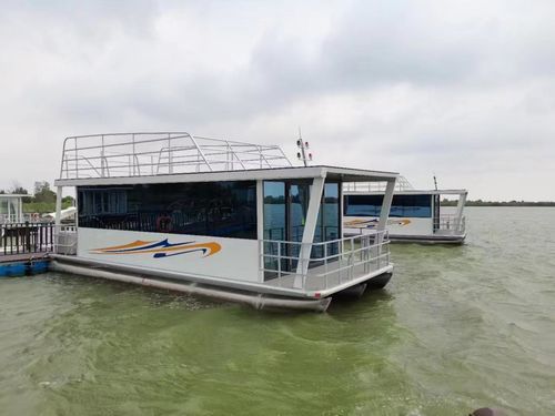 Барка катамаран - Changzhou Youbang Boat Co., Ltd. - c подвесным мотором / электрическая / СНГ