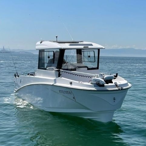 Рыболовно-прогулочный катер c подвесным мотором - 22 FISHER - Driftmark Marine - с закрытым кокпитом / рыболовно-прогулочный / круизный