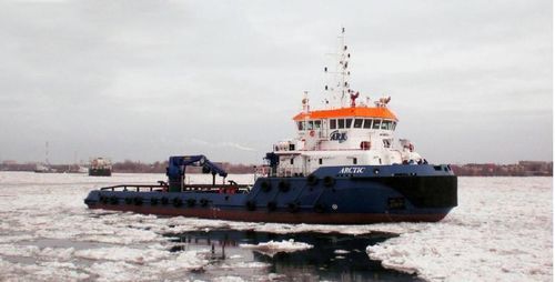 Буксир буксир - ARCTIC - Sefine Denizcilik Tersanecilik Turizm San. ve Tic. A.S. - для обработки якорей типа AHT / не определено / Bureau Veritas