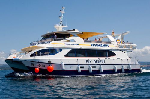 Профессиональный катер прогулочный катер - Fly Delfin - Drassanes Dalmau, S.A - катамаран / с внутренним мотором