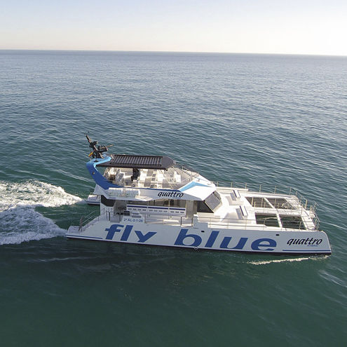 Профессиональный катер прогулочный катер - FLY BLUE QUATTRO - Drassanes Dalmau, S.A - катамаран / с внутренним мотором