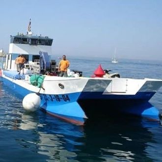 Профессиональный катер рабочее судно - SEMAC 25 - Drassanes Dalmau, S.A - портовый служебный катер / катамаран / с внутренним мотором