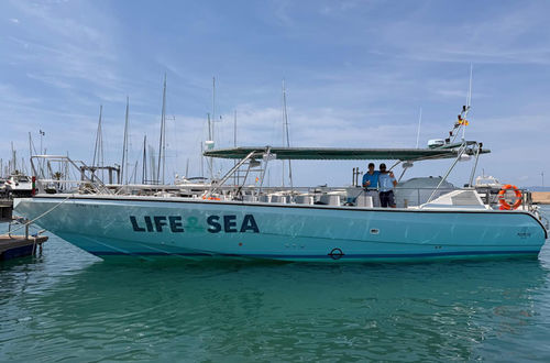 Профессиональный катер пассажирское судно - POPEYE LIFEANDSEA - Drassanes Dalmau, S.A - с внутренним мотором / из композита