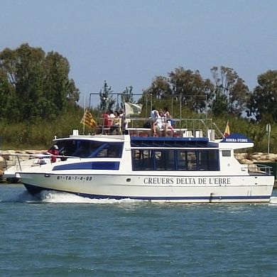 Профессиональный катер прогулочный катер - RIBERA D'EBRE  - Drassanes Dalmau, S.A - с внутренним мотором