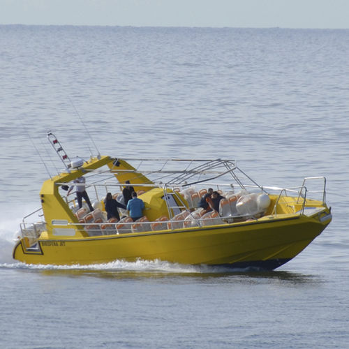 Профессиональный катер туристический катер - BIOSFERA JET - Drassanes Dalmau, S.A - водомет для установки на борту