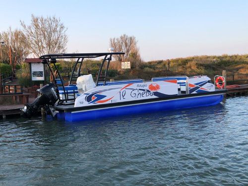 Профессиональный катер катер береговой охраны - Starlounger 10.0 - Swiss-Boats AG - рабочее судно / прогулочный катер / водное такси