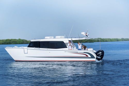 Быстроходный катер катамаран - SilverCat 40LUX​ - SMART OWN - c подвесным мотором / двухмоторный / хардтоп