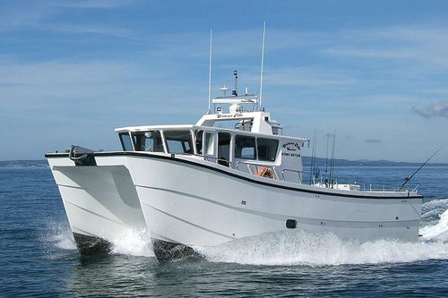 Профессиональный катер профессиональное рыболовное судно - Crimson Tide - Catapult Catamarans Marine Projects Ltd - катамаран / с внутренним мотором