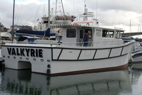 Профессиональный катер профессиональное рыболовное судно - Valkyrie - Catapult Catamarans Marine Projects Ltd - катамаран / с внутренним мотором