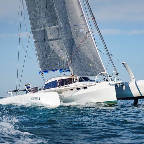 Тримаран - Rapido 40 - Rapido Trimarans - круизный скоростной / из карбона / бушприт