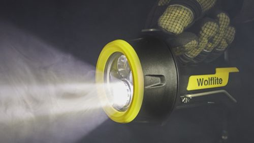 Лампа фонарь - XT - Wolf Safety Lamp Company Ltd. - морская / для опасных зон / LED