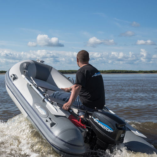 Надувная лодка c подвесным мотором - 310 AL - BS Marine - RIB / открытая / из алюминия
