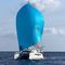 катамаранC-Cat 38Comar Yachts