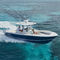 открытый катер c подвесным мотором31Regulator