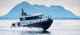 профессиональный катер рабочее судно / пассажирское судно / внутренняя поворотно-откидная колонка / электрический