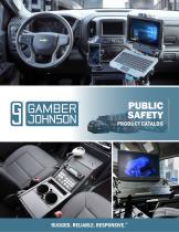 PUBLIC SAFETY