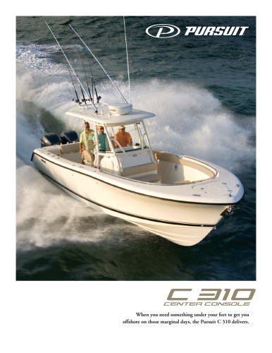 C 310