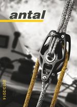 2013-Antal