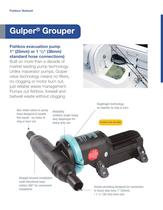 Gulper Grouper