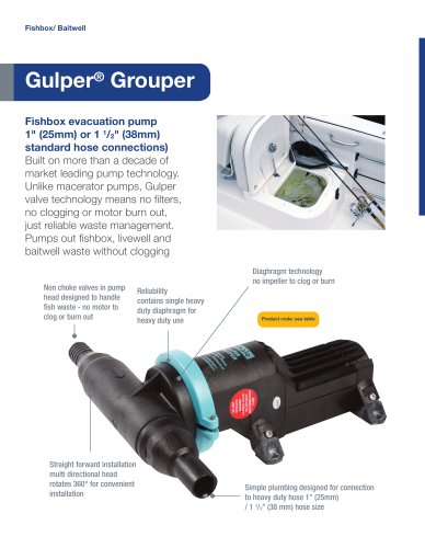 Gulper Grouper