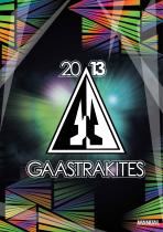 2013 Gaastra Kite Brochure