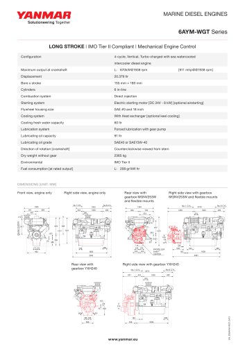 Specification datasheet - 6AYM-WGT