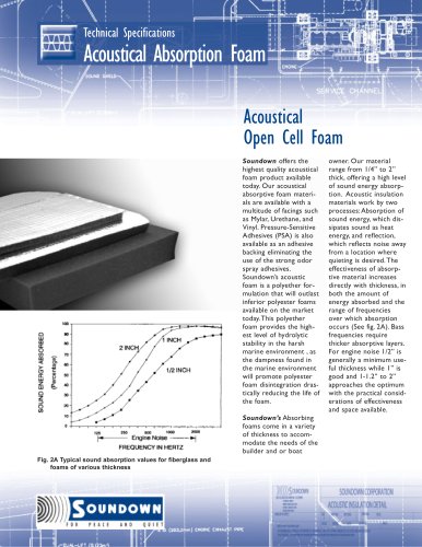 Acoustic Absorp Foam