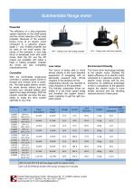 Submersible flange motor