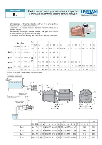 BJ ac motor