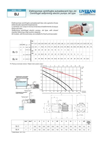 BJ dc motor