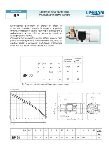 BP60 dc motor