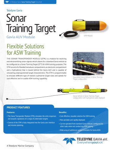 Sonar Training Target