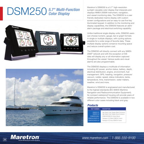 DSM250