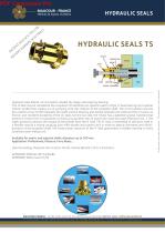 HYDRAULIC SEALS TS