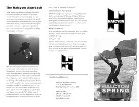 Springheel Halcyon 