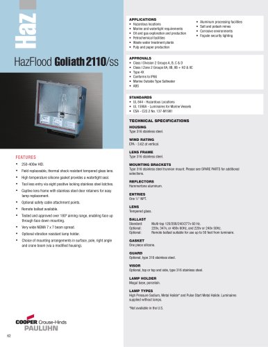 Pauluhn HazFlood Goliath 2110/ss Floodlights