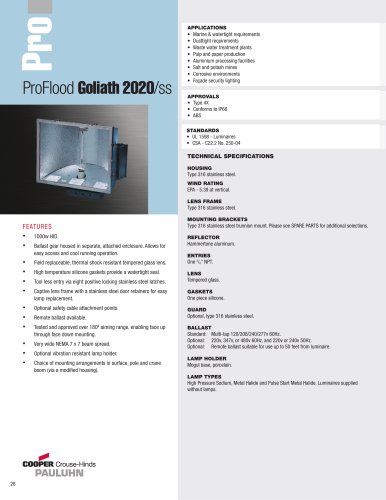 Pauluhn ProFlood Goliath 2020/ss Floodlights